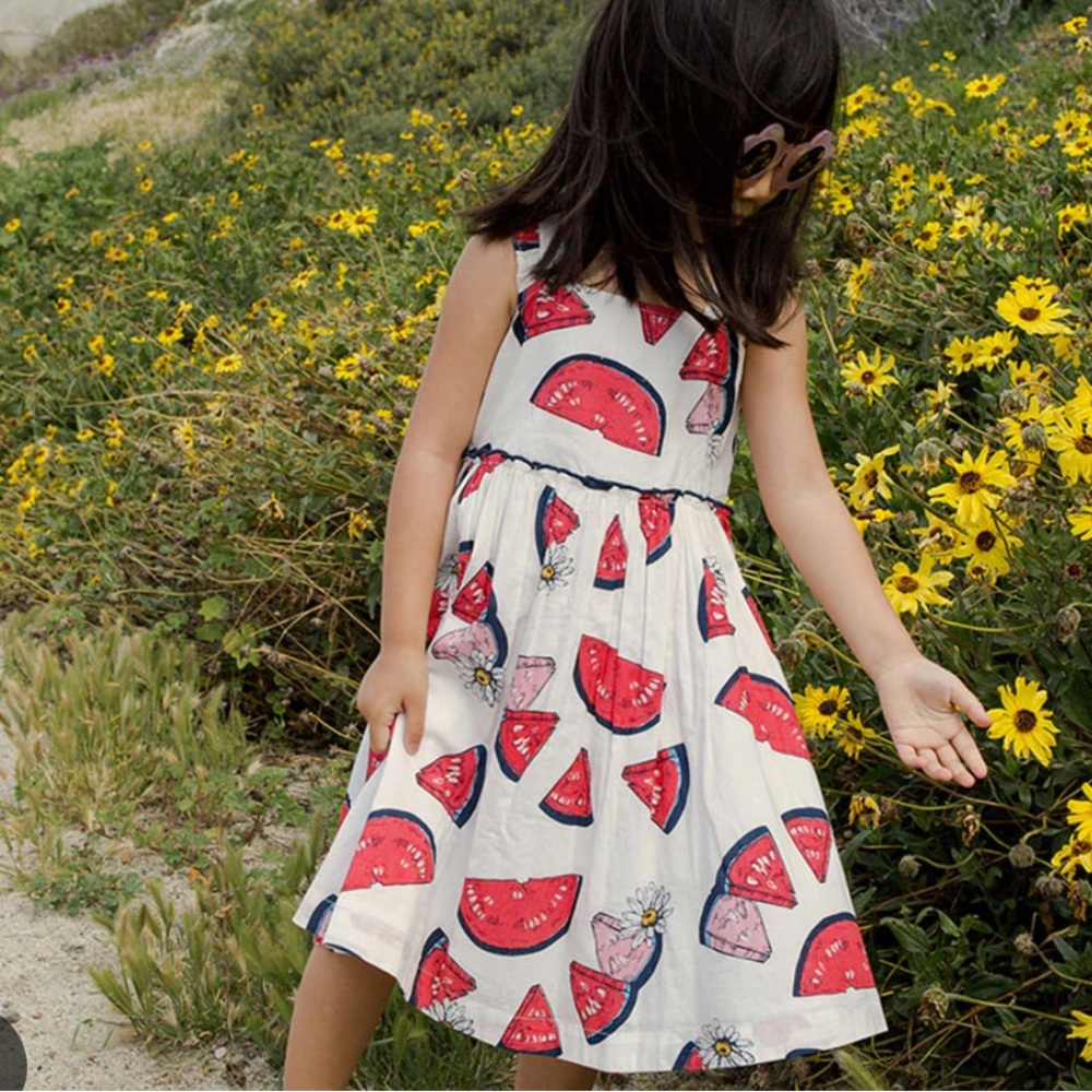 Watermelon Print pink chicken girls Sierra Dress